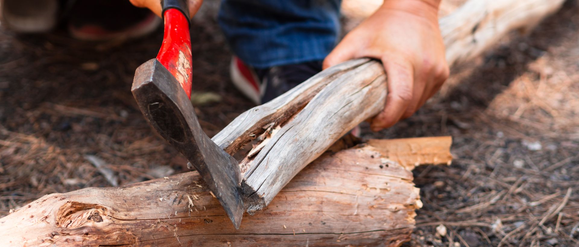 Professional tree removal crew sectioning a large tree in a Worcester County, Massachusetts yard