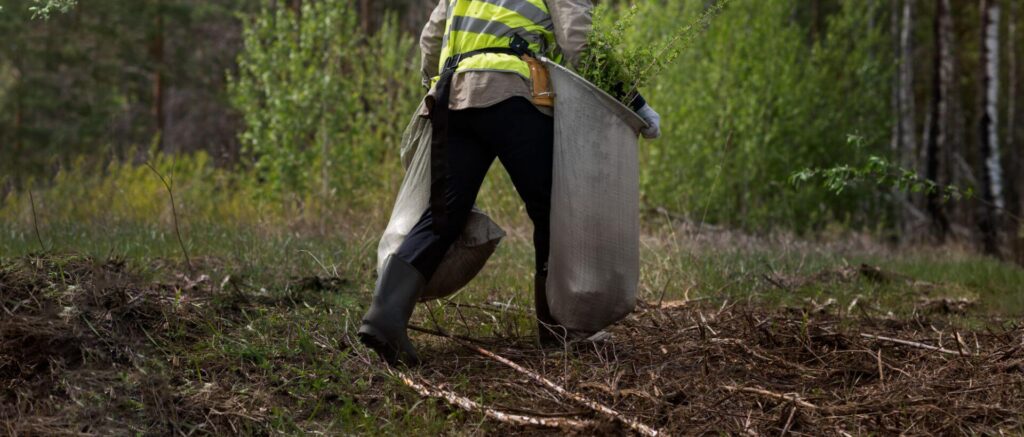Stump Grinding Services